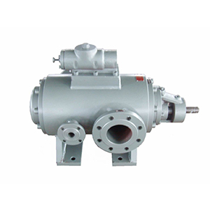 2G系列雙螺桿泵圖九產(chǎn)品圖3